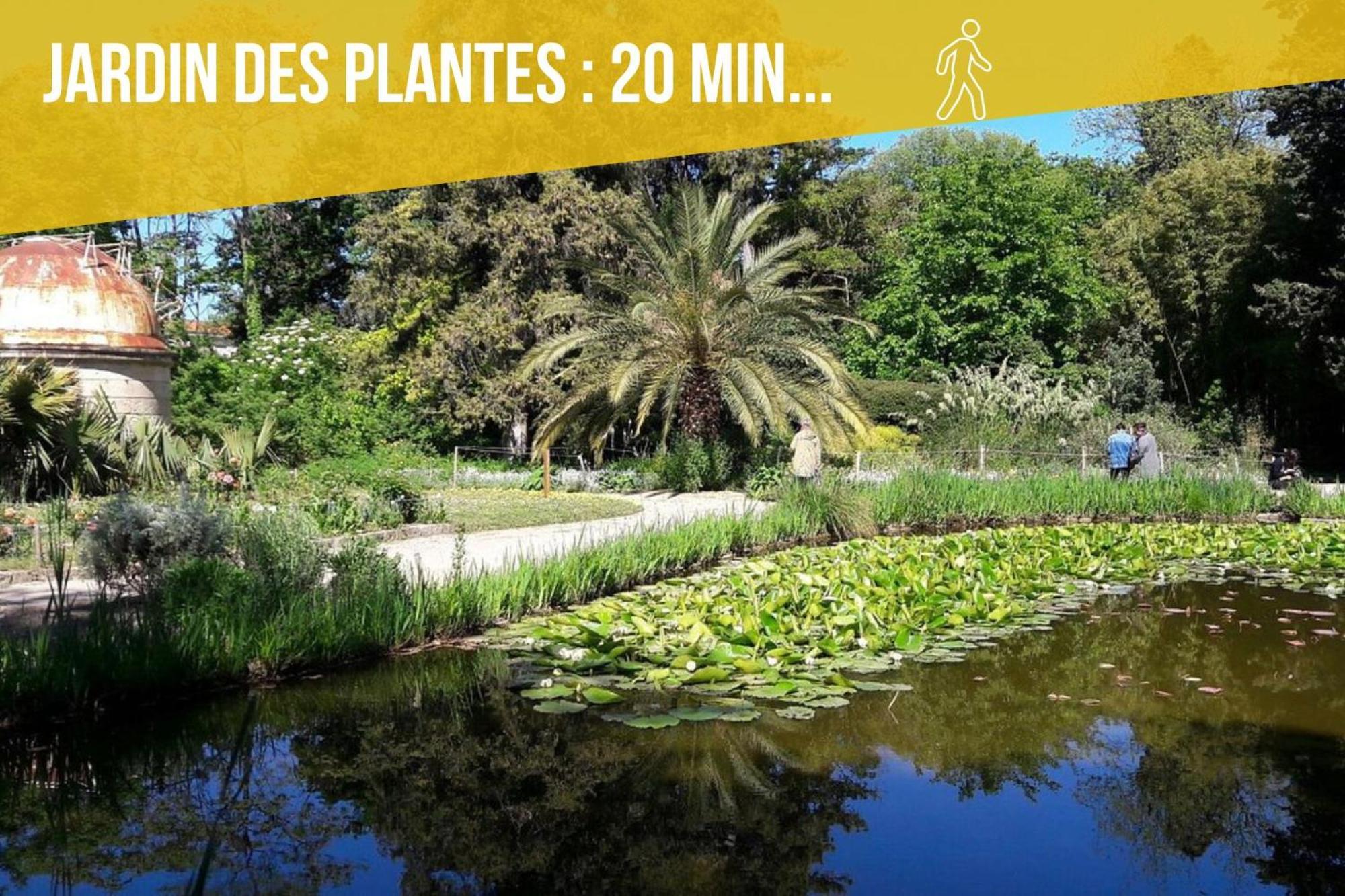 Amja Proche Clinique Saint-Roch Apt 3 Chambres 3 Salles De Bain Parking Gratuit Ideal Famille Groupe Coworking 10 Min Centre Ville 10 Min Plage 5 Min Sortie Autoroute Montpellier Exterior foto